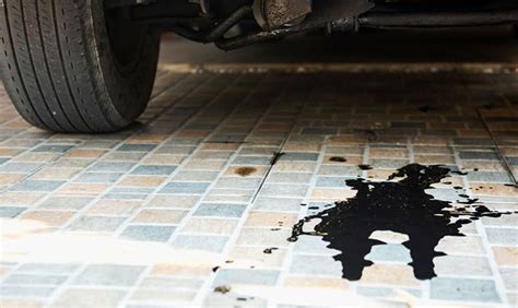 what does oil leak pts mean|What Does Oil Leak Pts Mean